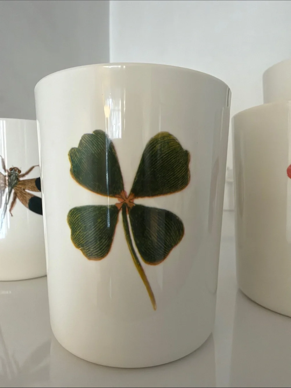 John Derian for Target Nature Motif Tumblers